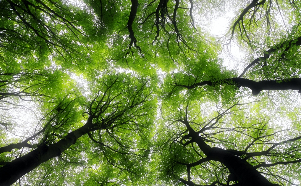 Notre engagement écologique